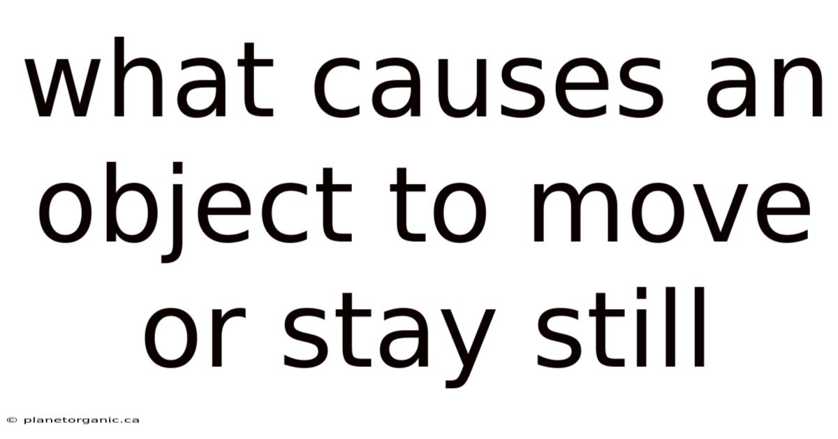 What Causes An Object To Move Or Stay Still