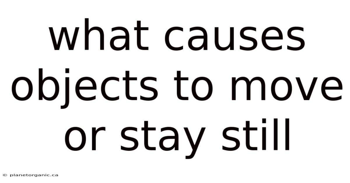 What Causes Objects To Move Or Stay Still