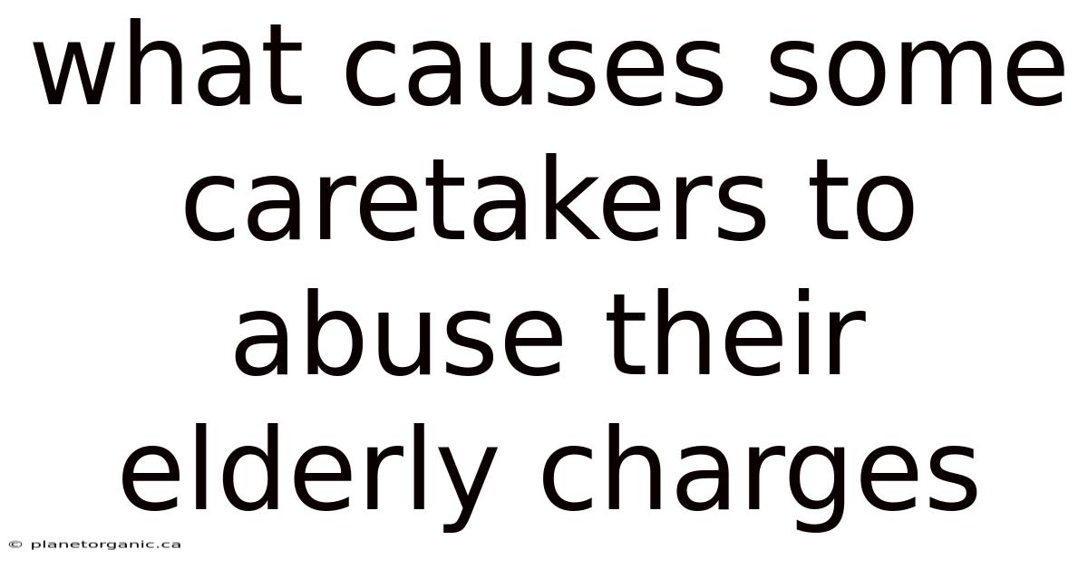 What Causes Some Caretakers To Abuse Their Elderly Charges