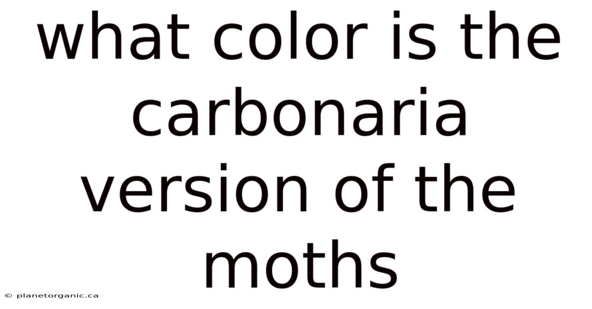 What Color Is The Carbonaria Version Of The Moths