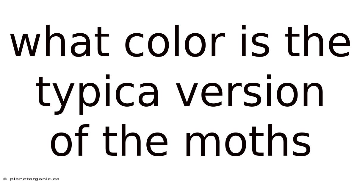 What Color Is The Typica Version Of The Moths