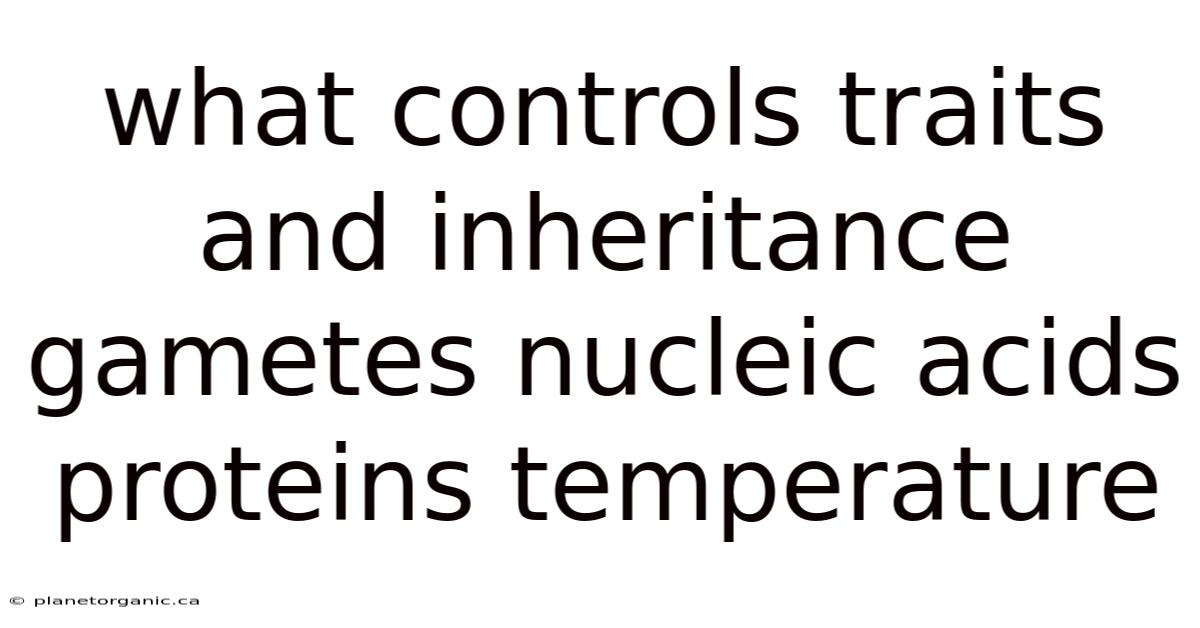 What Controls Traits And Inheritance Gametes Nucleic Acids Proteins Temperature