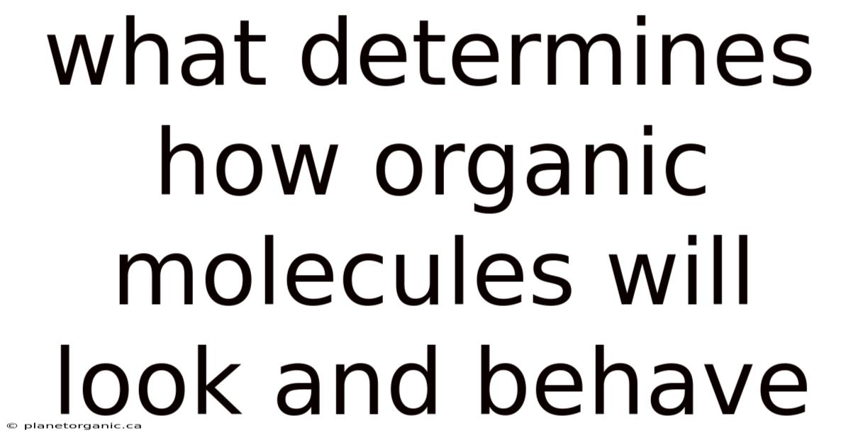 What Determines How Organic Molecules Will Look And Behave