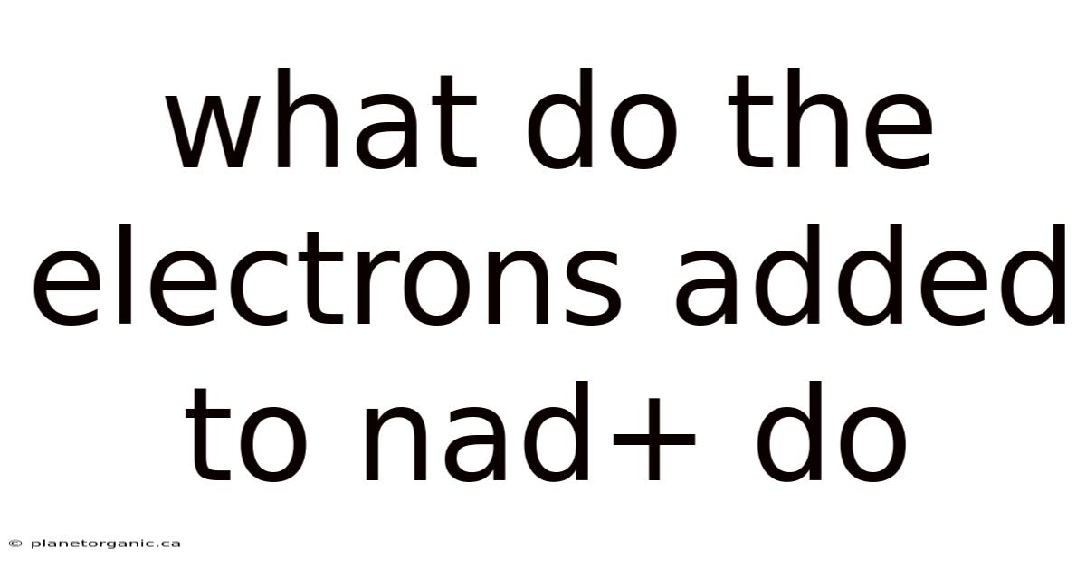What Do The Electrons Added To Nad+ Do