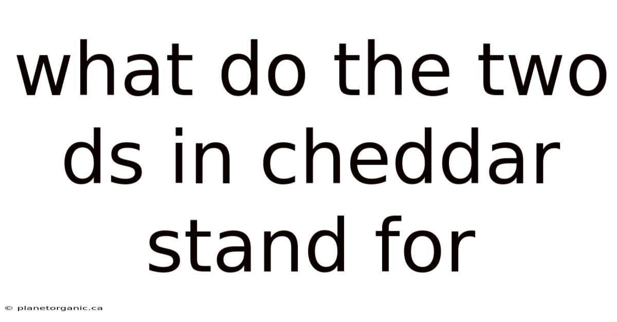 What Do The Two Ds In Cheddar Stand For