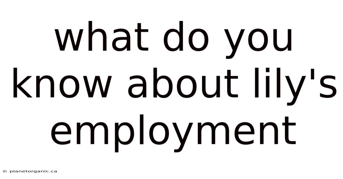 What Do You Know About Lily's Employment