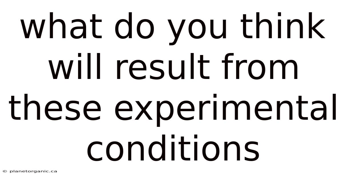 What Do You Think Will Result From These Experimental Conditions