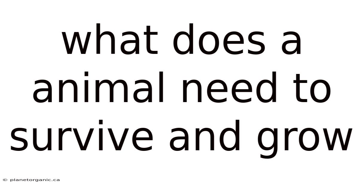 What Does A Animal Need To Survive And Grow