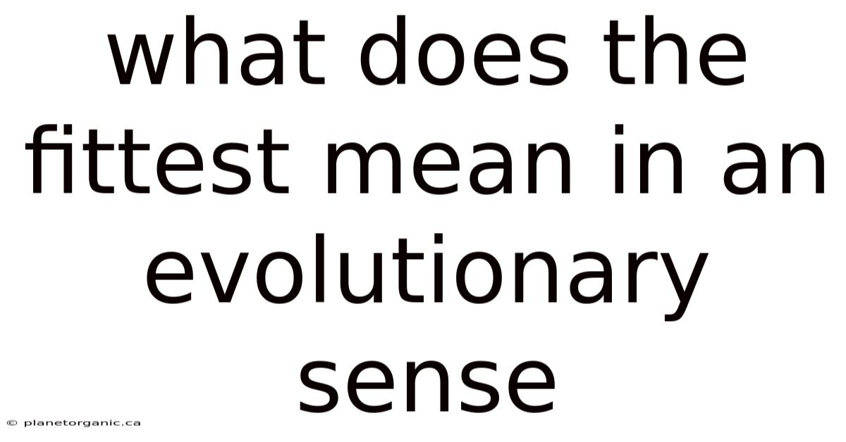 What Does The Fittest Mean In An Evolutionary Sense