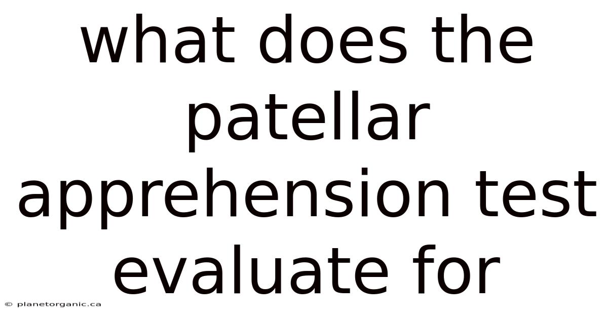 What Does The Patellar Apprehension Test Evaluate For