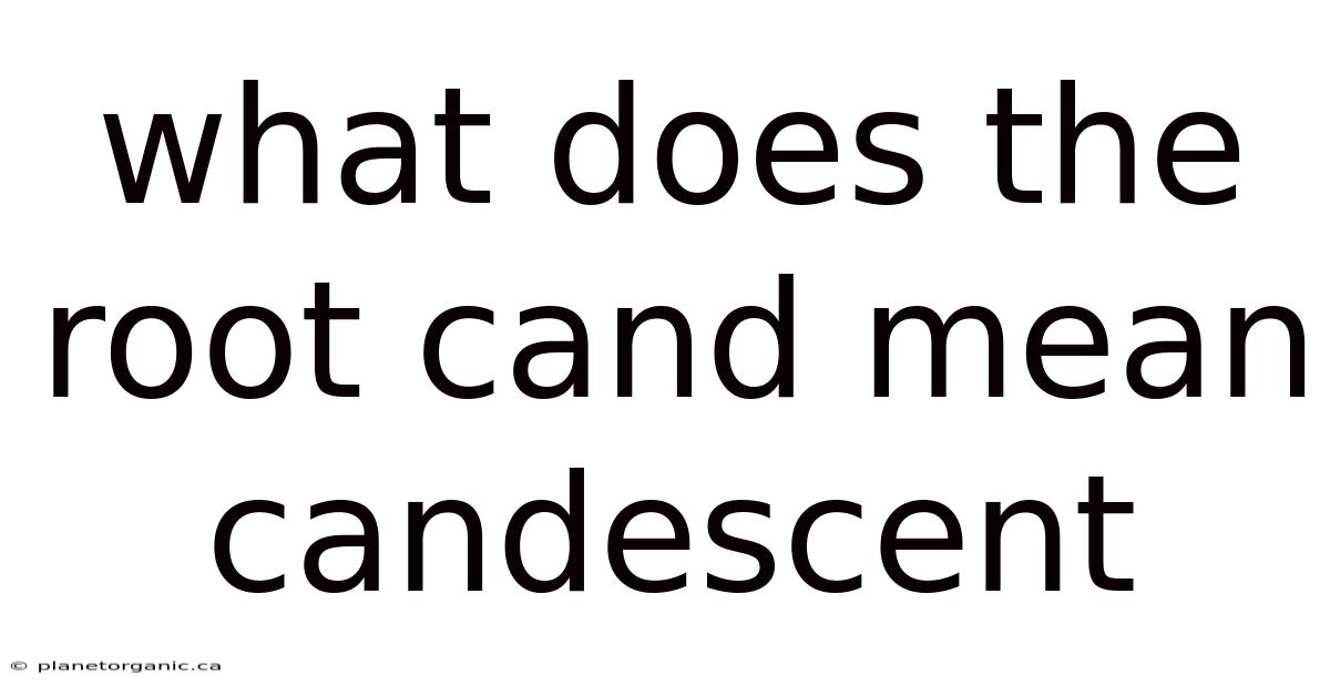 What Does The Root Cand Mean Candescent