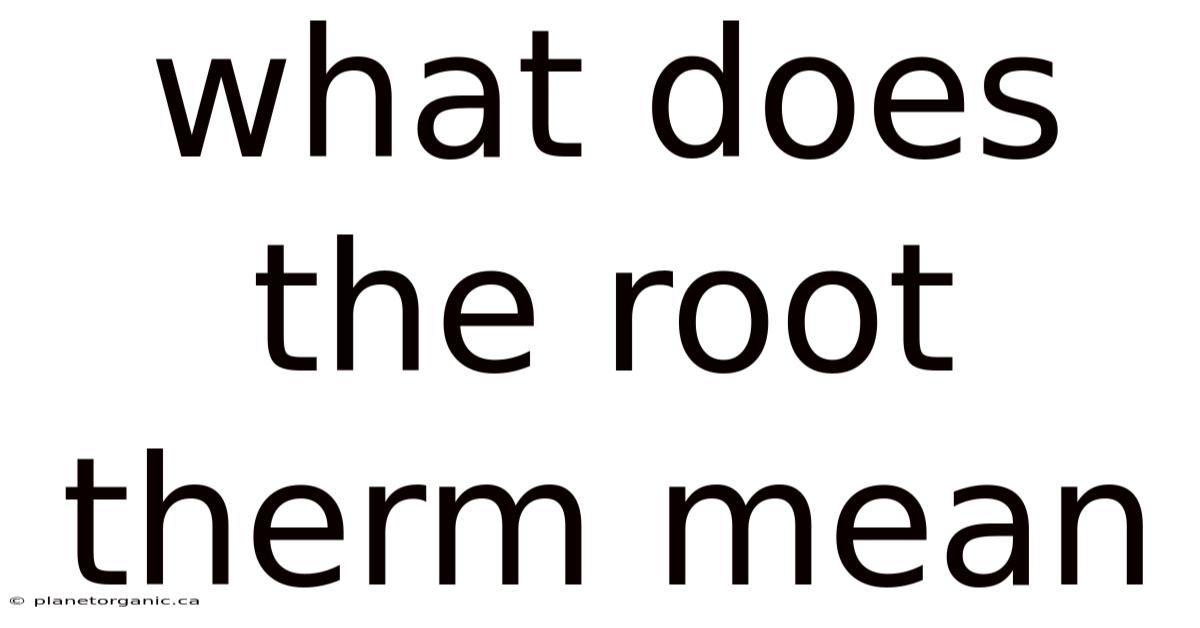 What Does The Root Therm Mean