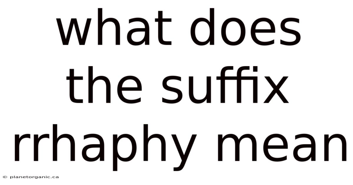 What Does The Suffix Rrhaphy Mean