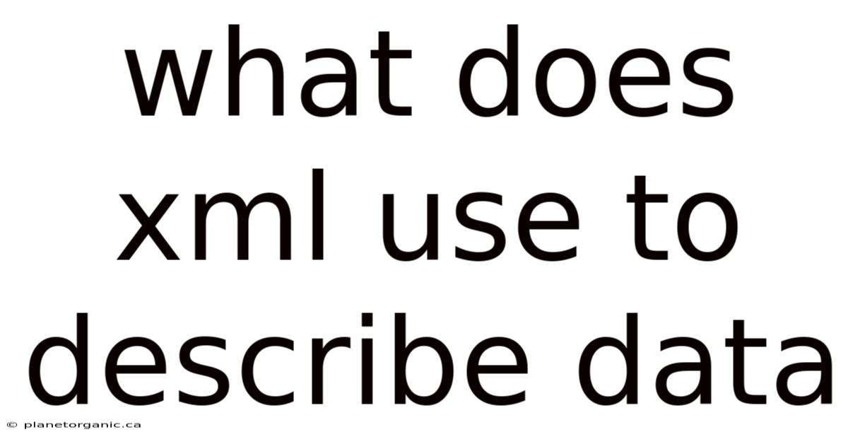 What Does Xml Use To Describe Data