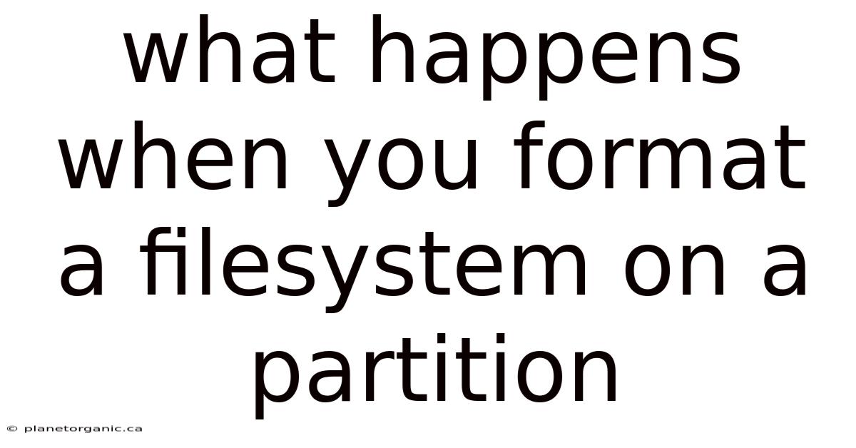 What Happens When You Format A Filesystem On A Partition