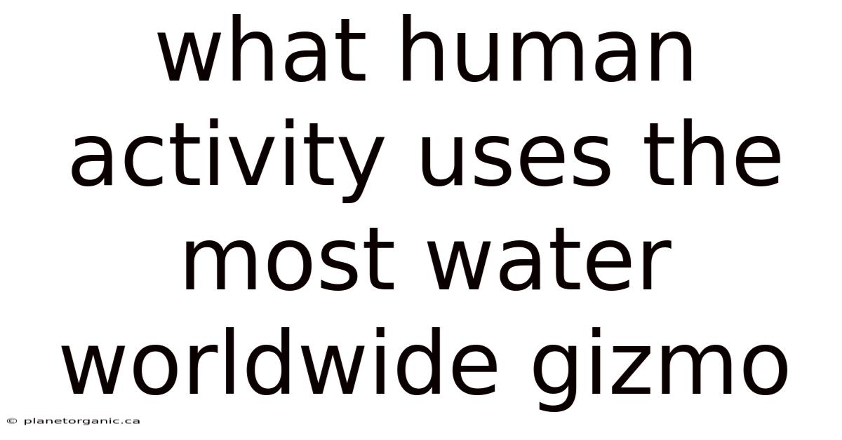 What Human Activity Uses The Most Water Worldwide Gizmo