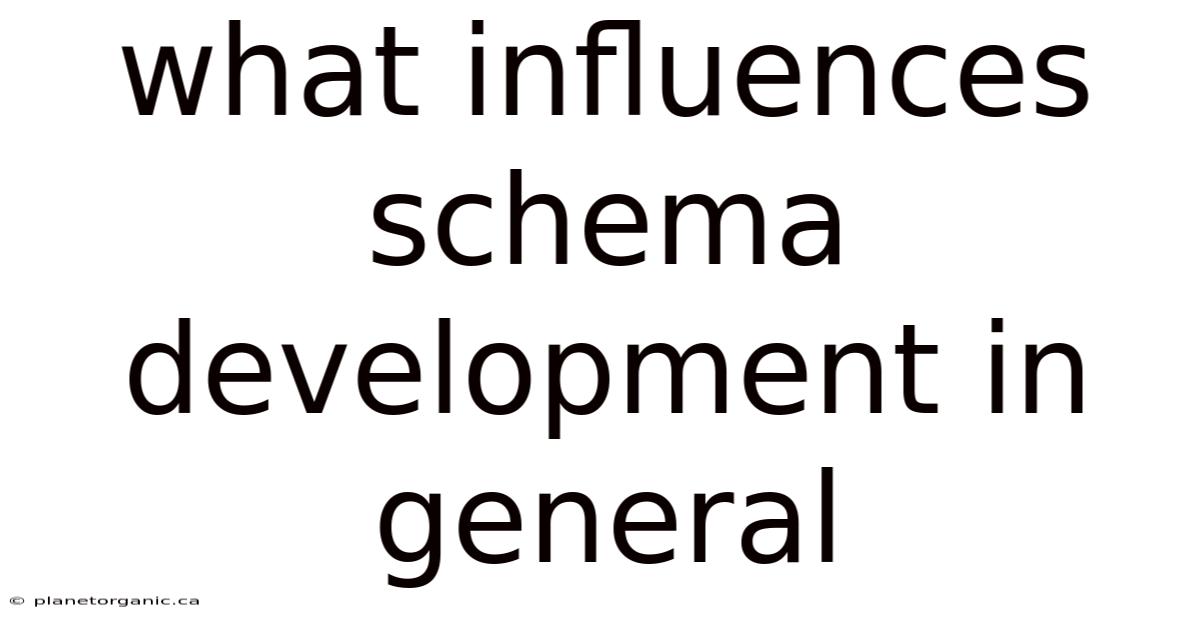 What Influences Schema Development In General