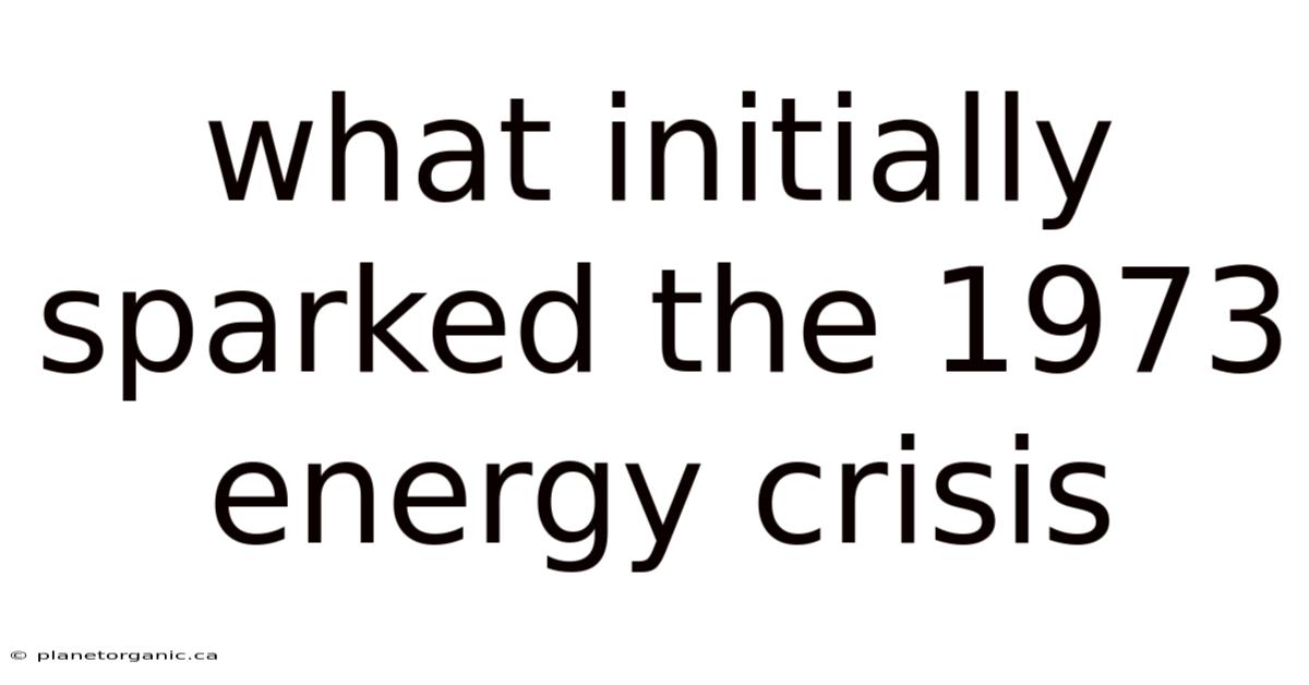 What Initially Sparked The 1973 Energy Crisis