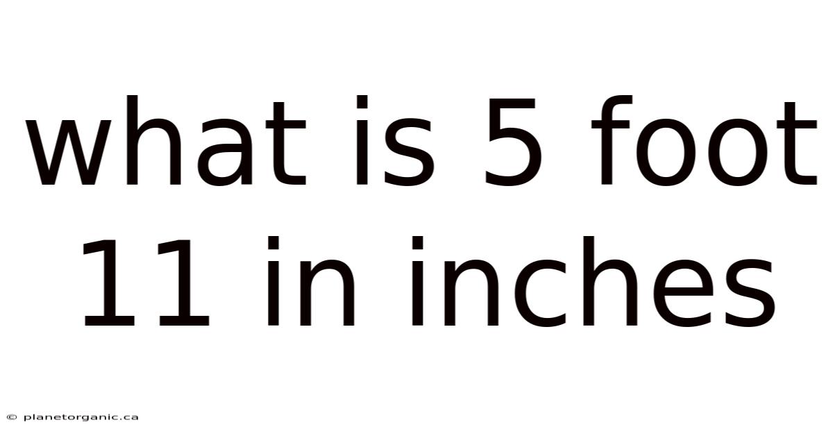 What Is 5 Foot 11 In Inches