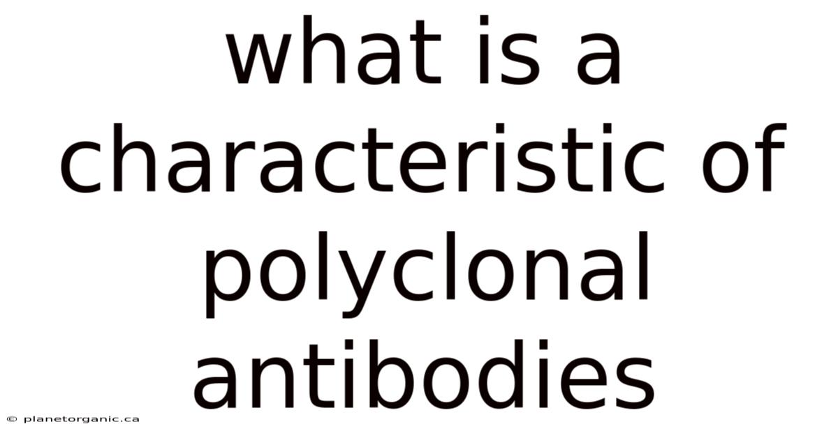 What Is A Characteristic Of Polyclonal Antibodies