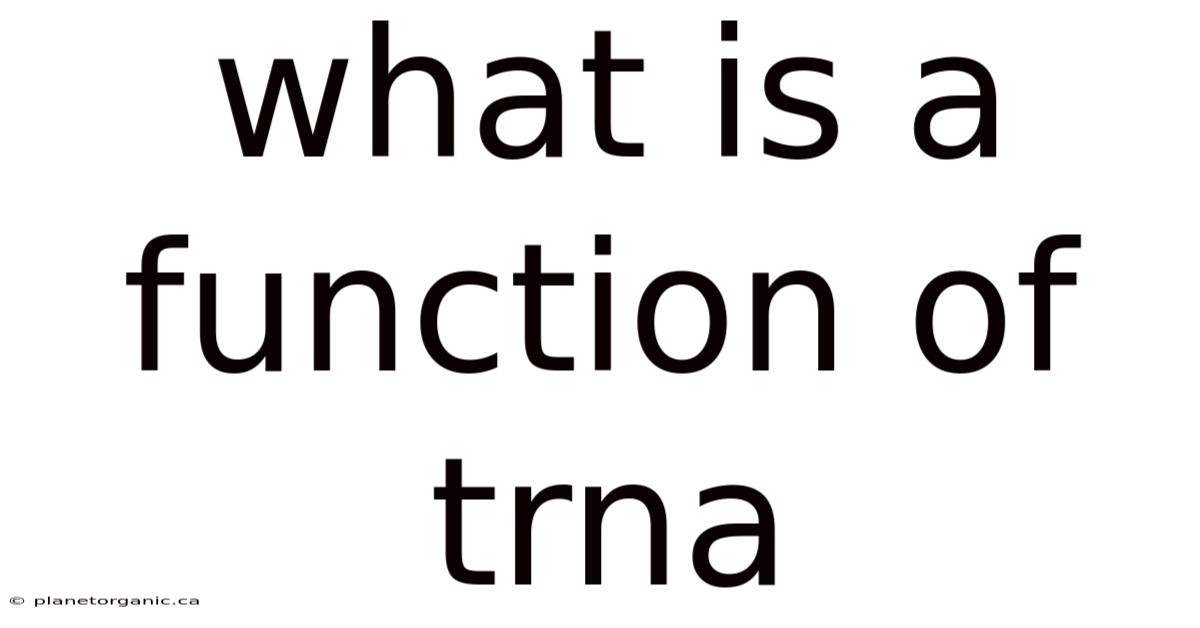 What Is A Function Of Trna