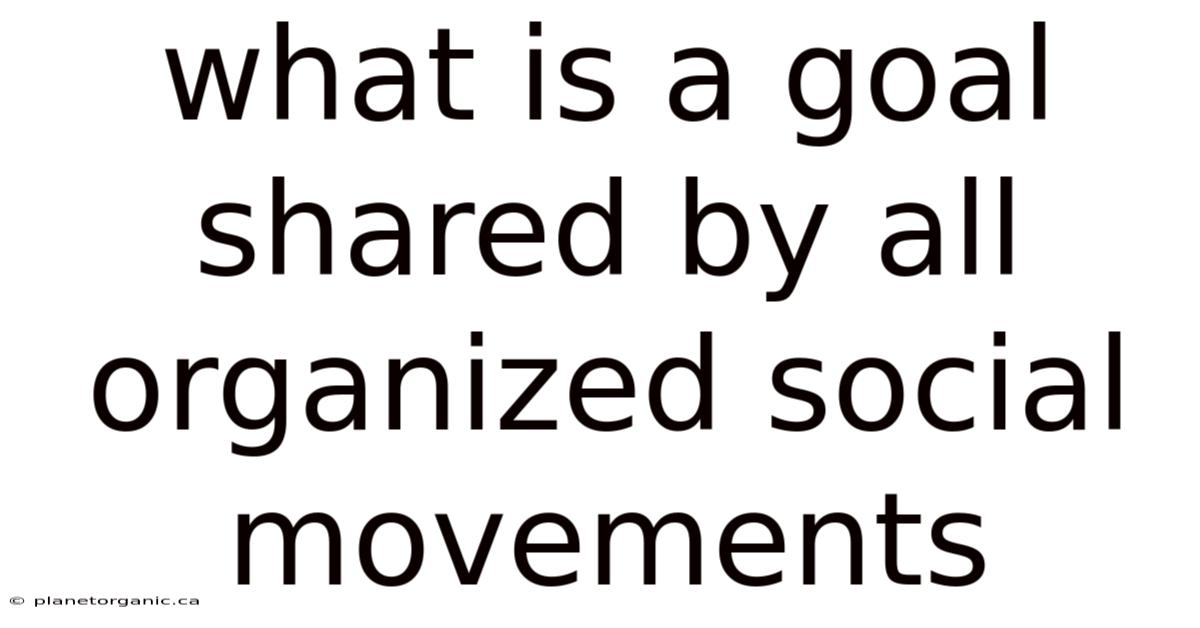 What Is A Goal Shared By All Organized Social Movements