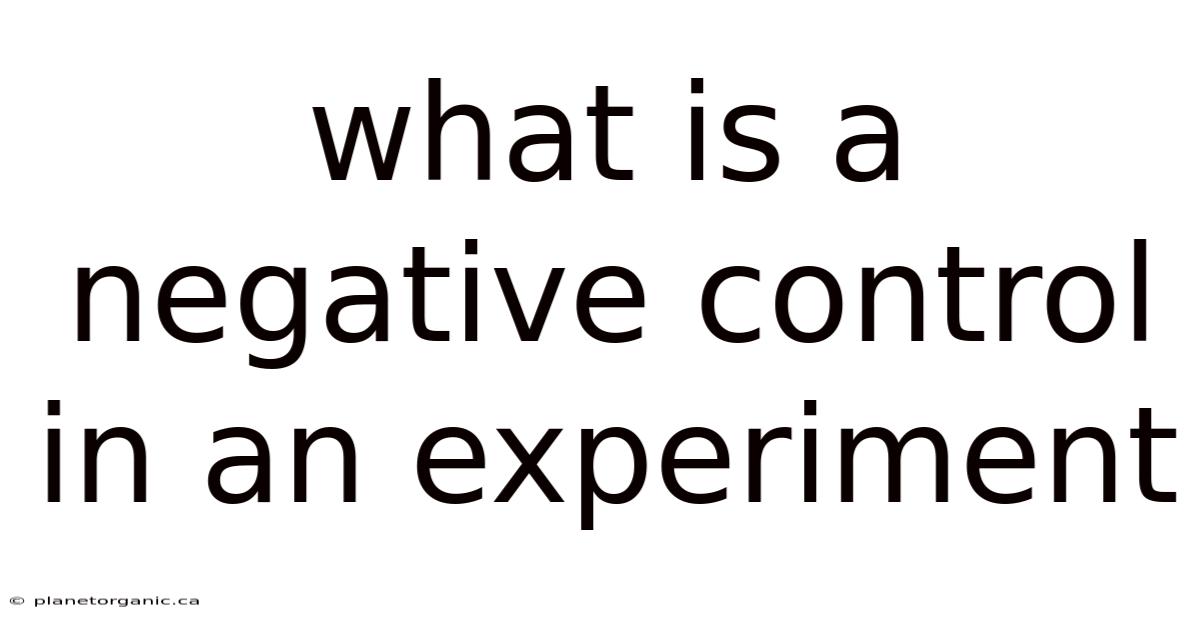 What Is A Negative Control In An Experiment