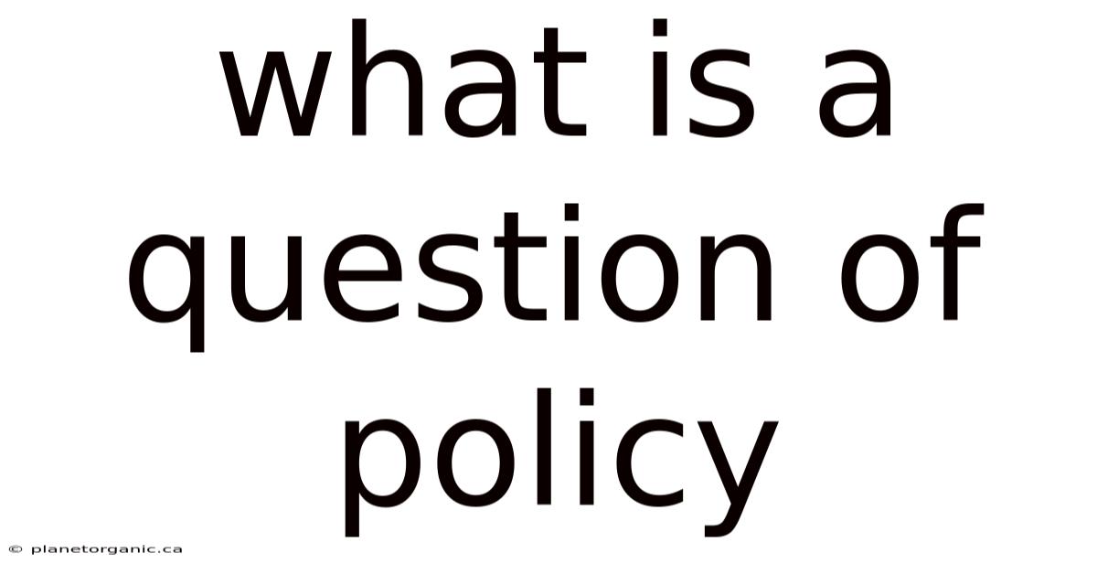 What Is A Question Of Policy