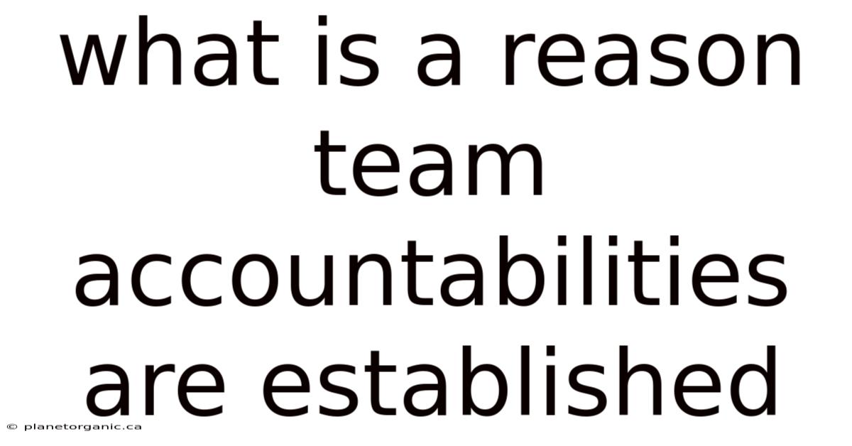What Is A Reason Team Accountabilities Are Established
