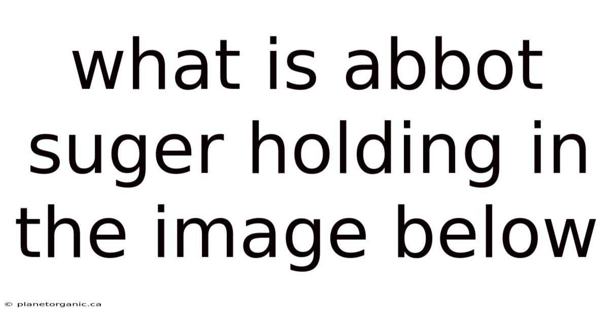 What Is Abbot Suger Holding In The Image Below