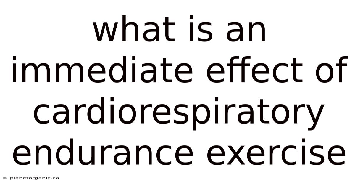 What Is An Immediate Effect Of Cardiorespiratory Endurance Exercise