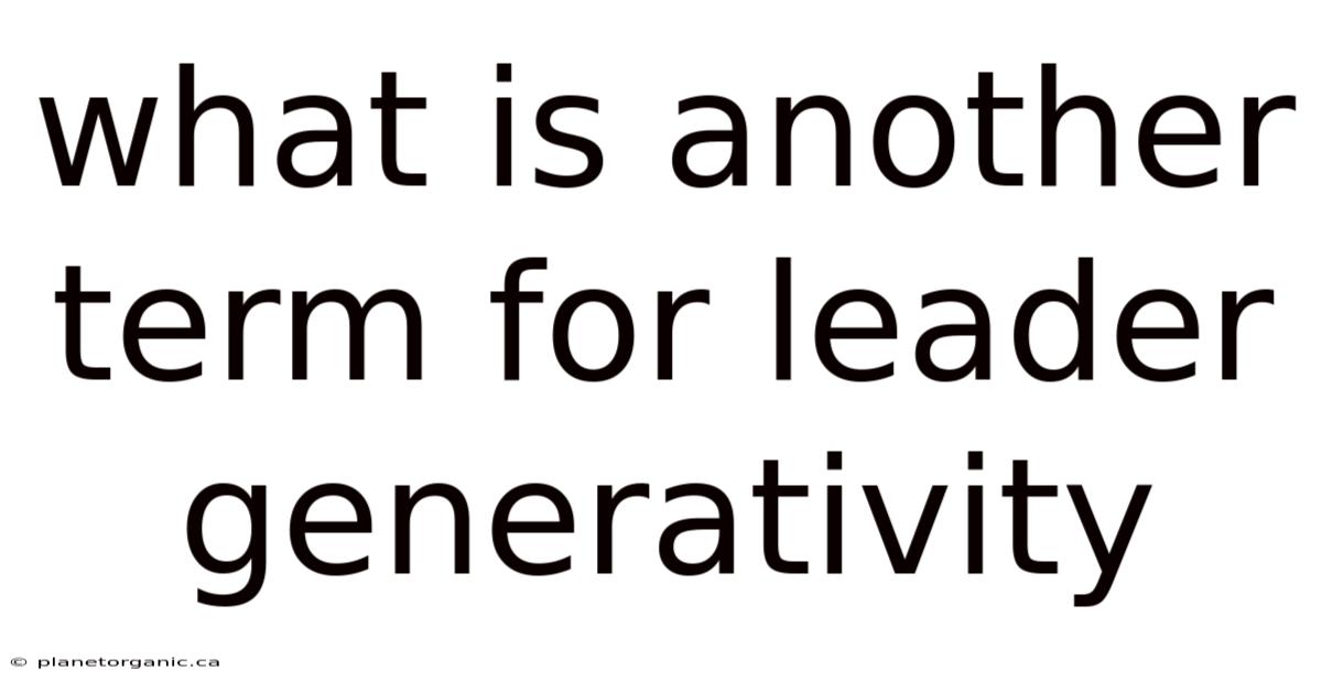 What Is Another Term For Leader Generativity