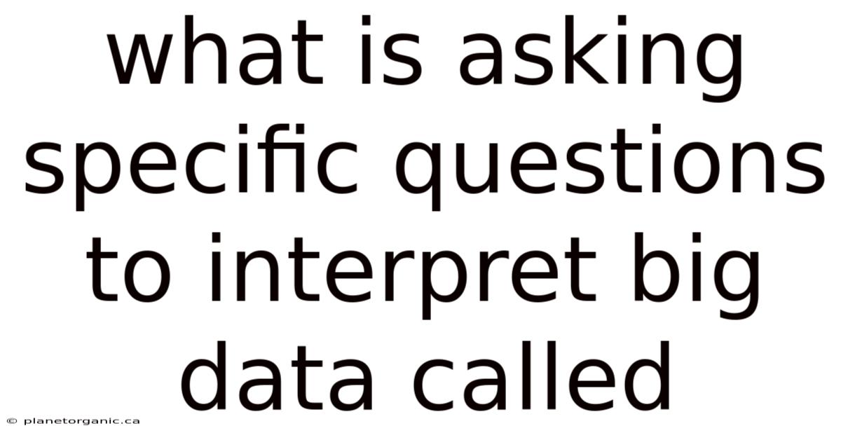 What Is Asking Specific Questions To Interpret Big Data Called
