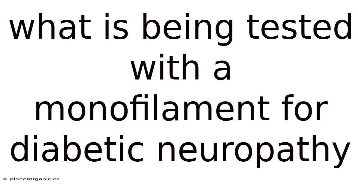 What Is Being Tested With A Monofilament For Diabetic Neuropathy