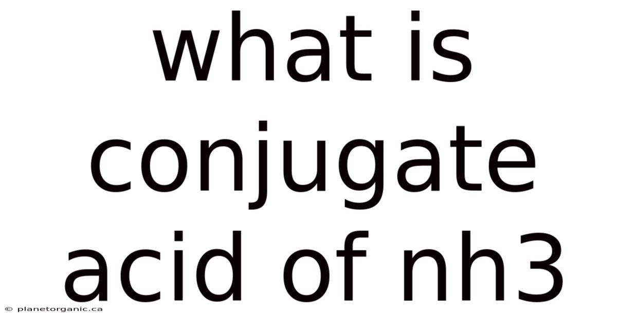 What Is Conjugate Acid Of Nh3