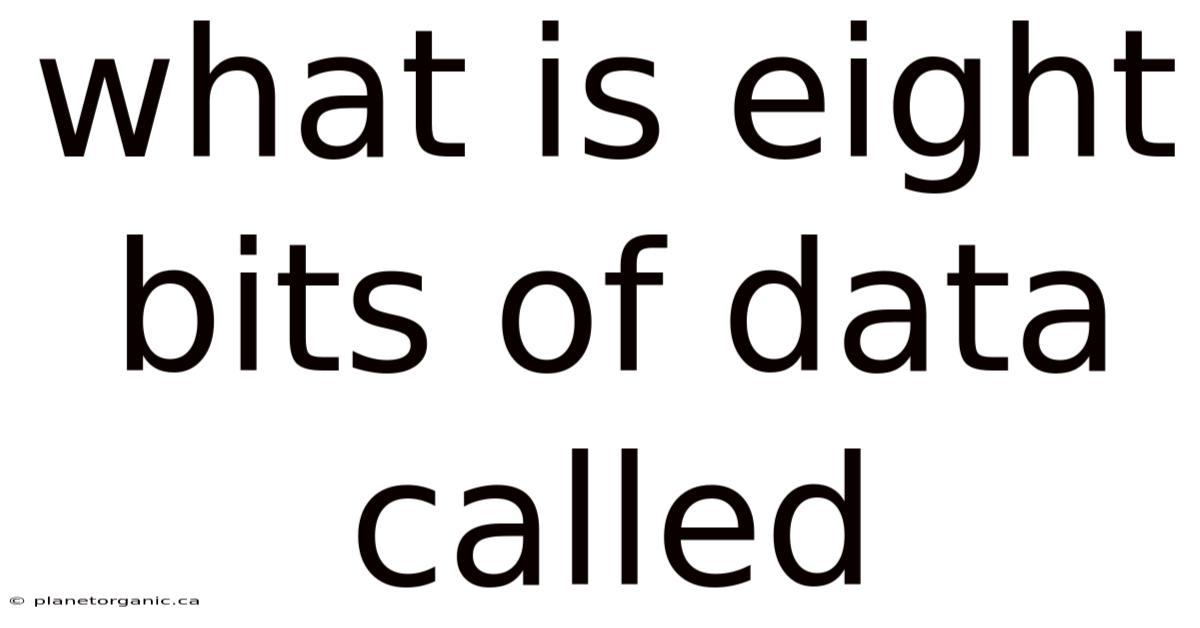 What Is Eight Bits Of Data Called