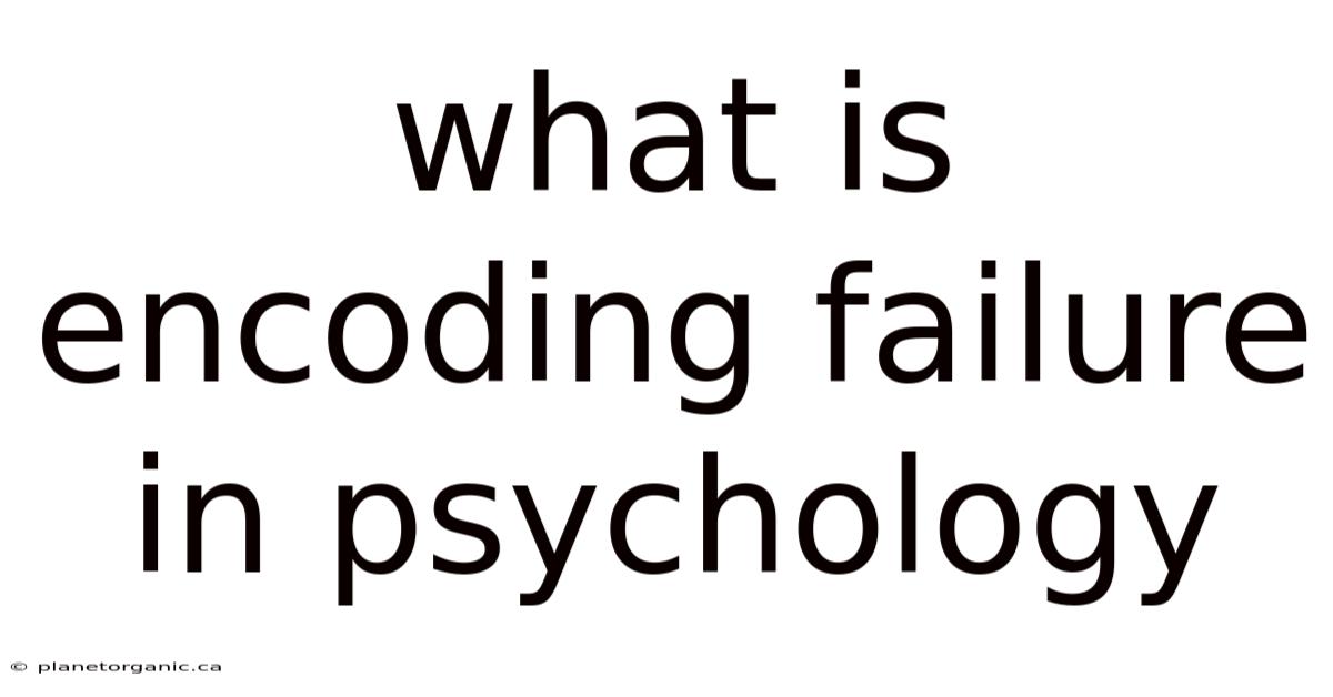 What Is Encoding Failure In Psychology