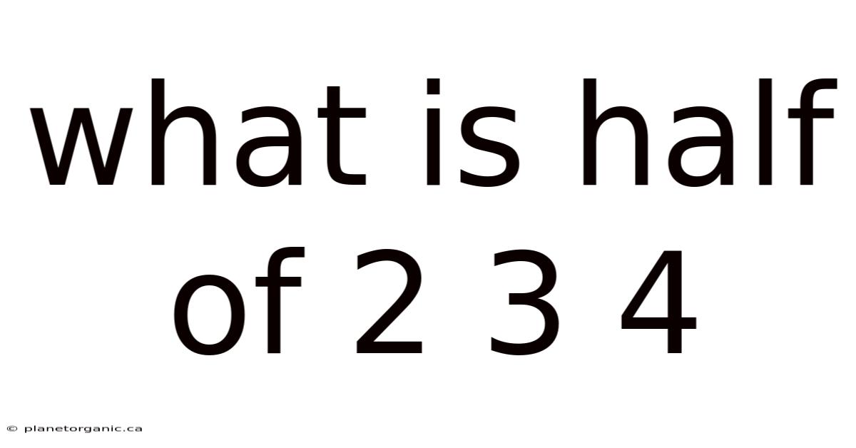 What Is Half Of 2 3 4