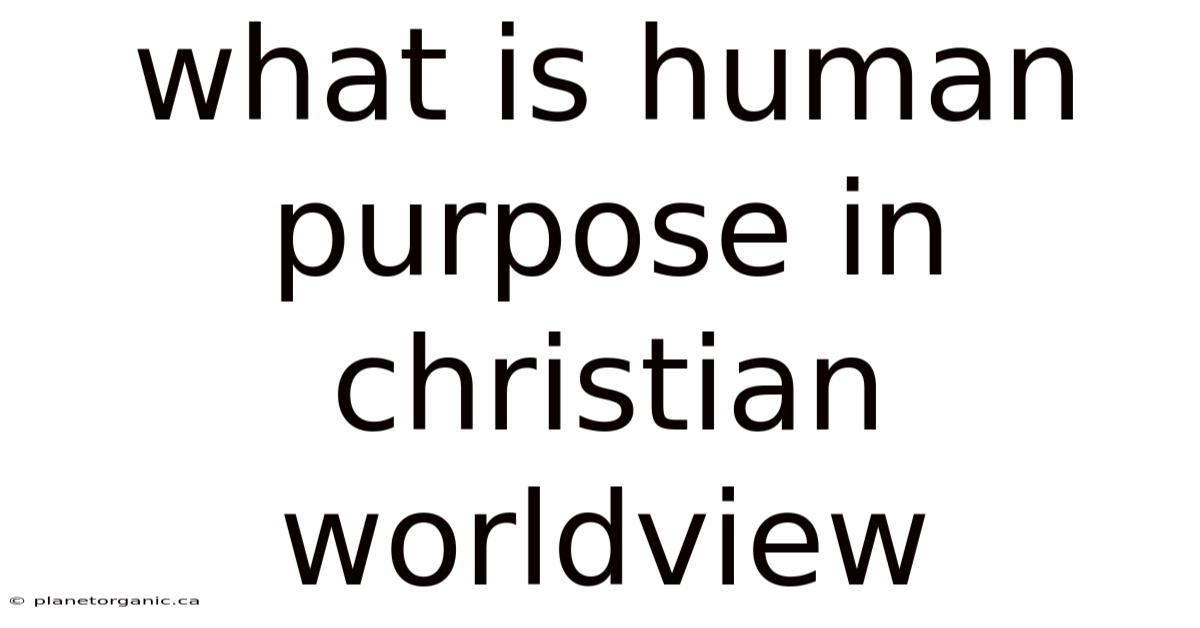 What Is Human Purpose In Christian Worldview