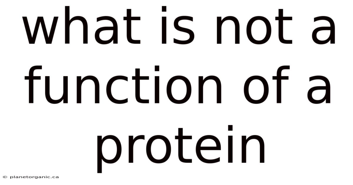 What Is Not A Function Of A Protein