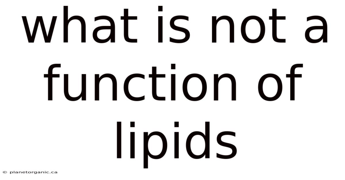 What Is Not A Function Of Lipids