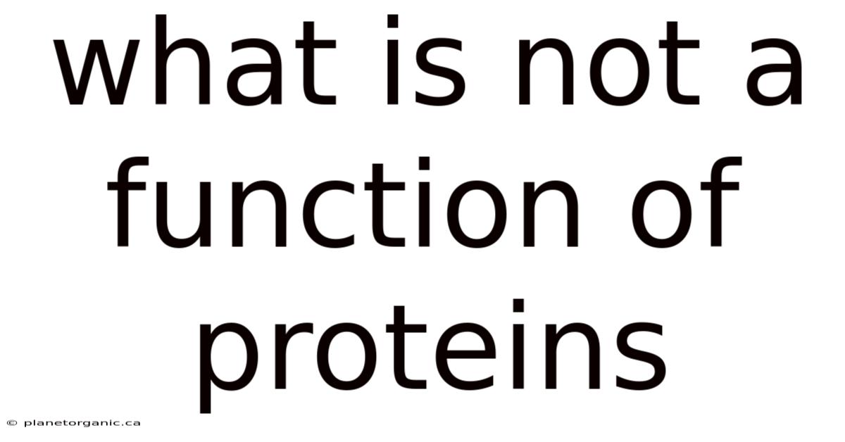 What Is Not A Function Of Proteins