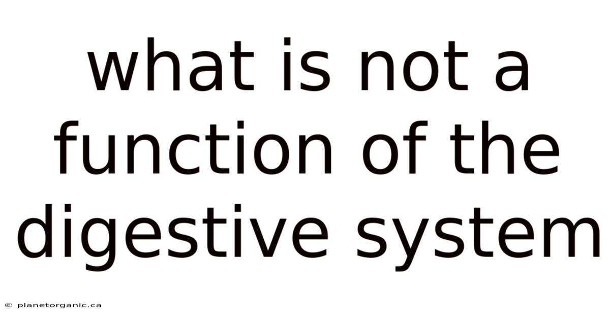 What Is Not A Function Of The Digestive System