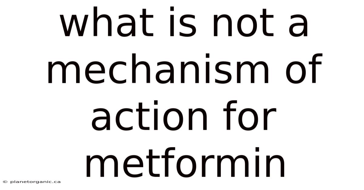 What Is Not A Mechanism Of Action For Metformin
