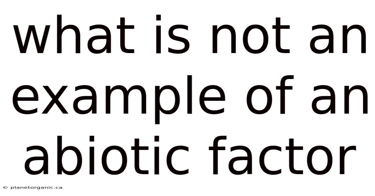 What Is Not An Example Of An Abiotic Factor