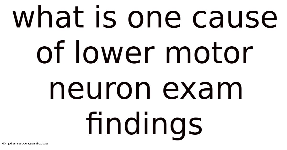 What Is One Cause Of Lower Motor Neuron Exam Findings