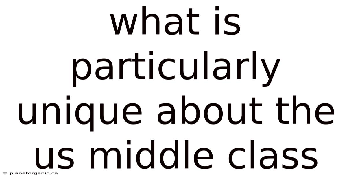 What Is Particularly Unique About The Us Middle Class