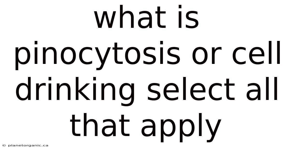 What Is Pinocytosis Or Cell Drinking Select All That Apply