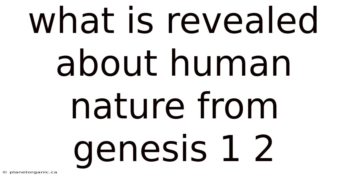 What Is Revealed About Human Nature From Genesis 1 2