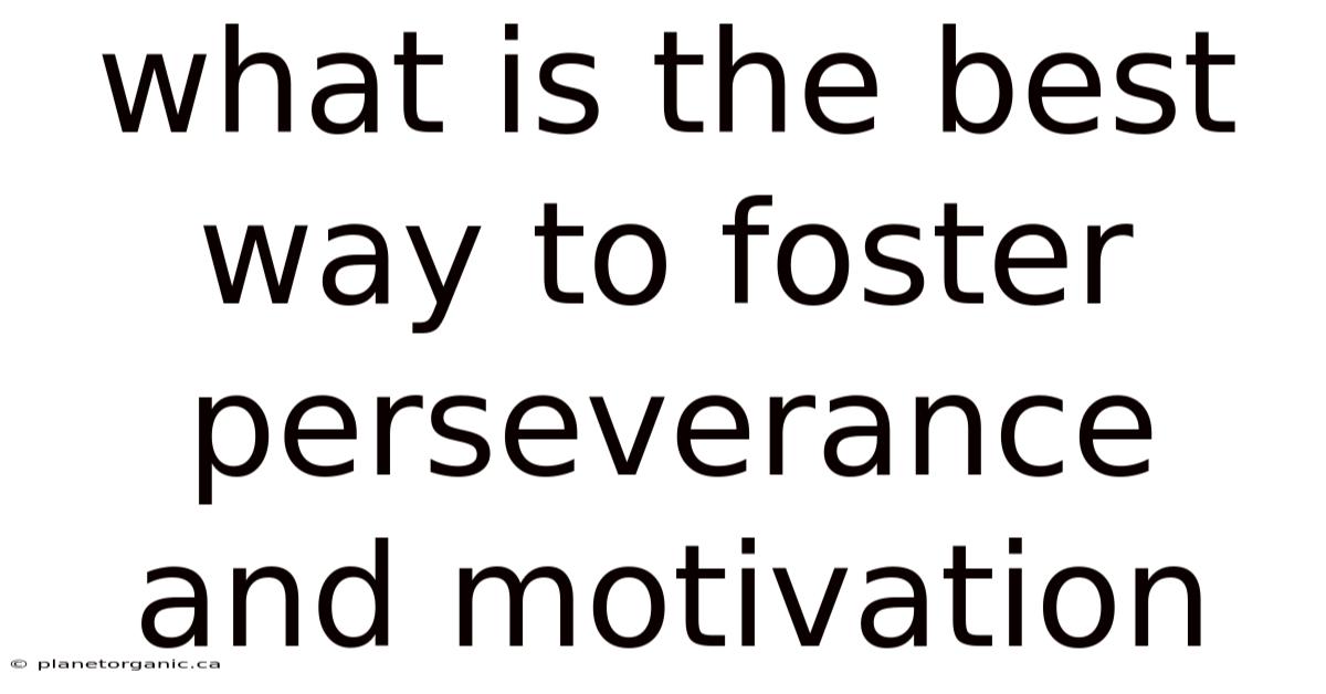 What Is The Best Way To Foster Perseverance And Motivation